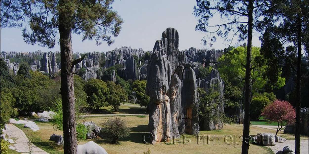 Каменный лес Шилинь