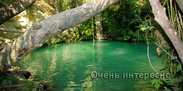 Купальня Адониса
