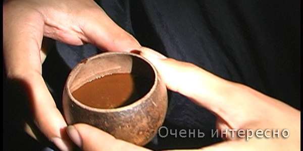 Айяуаска