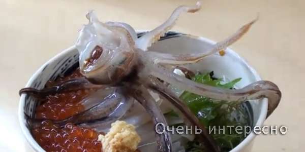 Танцы кальмара