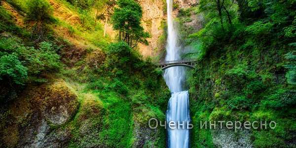 Водопад Малтнома-Фолс