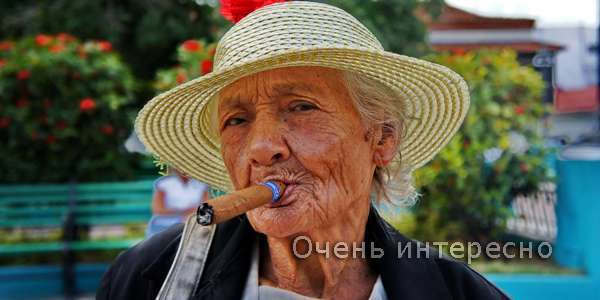 Бабушка на двое сказала