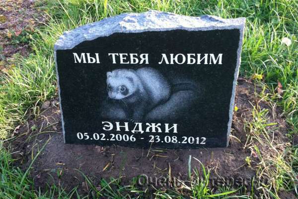 Кладбище домашних животных