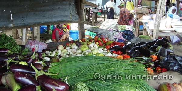 Рынок Мадина