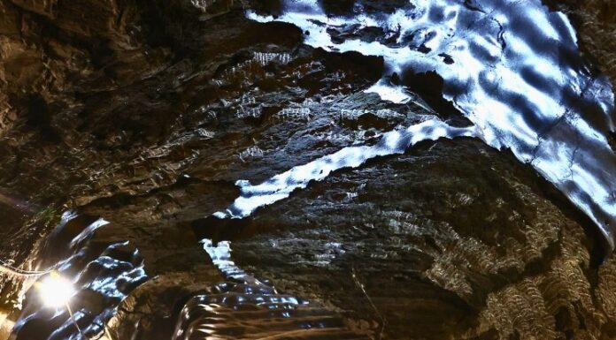 Через 40 000 років мікроби пробуджуються від відтавання вічної мерзлоти