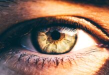 Людський зір: справжня роздільна здатність ока вища, ніж ми думали