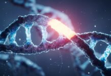 У геномі людини виявлено нову «гарячу точку мутації».