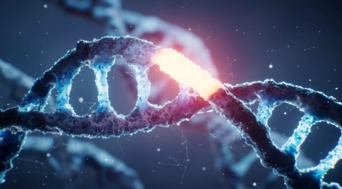 У геномі людини виявлено нову «гарячу точку мутації».