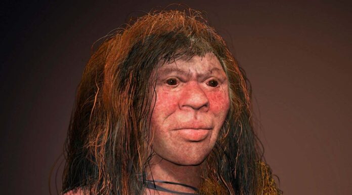 Розгадка таємниць Денисівців: новий геном розкриває складну історію стародавніх людей