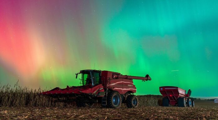Космічні новини: комети, зореутворення та вимерлий Всесвіт