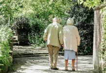 Машинне навчання визначає сотні потенційних ліків проти старіння мозку