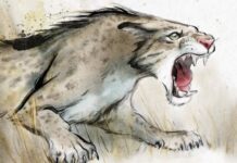 Недавно Обнаруженный Древний Хищник Проливает Свет на Эволюцию Саблезубых
