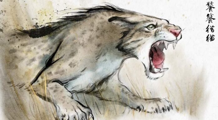 Нещодавно виявлений стародавній хижак проливає світло на еволюцію шаблезубого