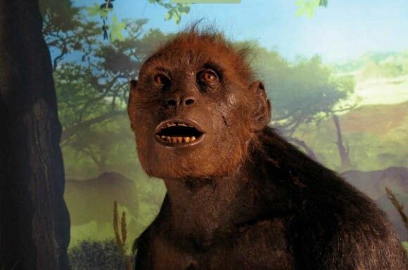 Скам’янілості сахелантропа віком 7 мільйонів років підтримують чохол для найдавнішого прямоходіння