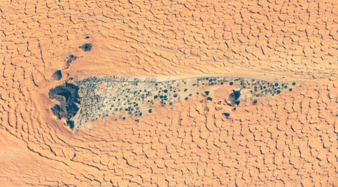 Стародавній оазис у Саудівській Аравії приховує кола на полях і тисячоліття історії