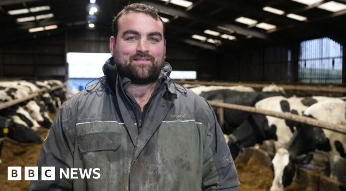 Уельс запускає фермерські субсидії після Brexit: через десять років після голосування