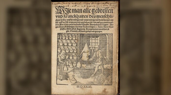 Рецепти епохи Відродження: голови ящірок і людські фекалії в стародавніх медичних текстах