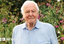 BBC Відзначає 100-річчя Сера Девіда Аттенборо Тижнем Спеціальних Передач