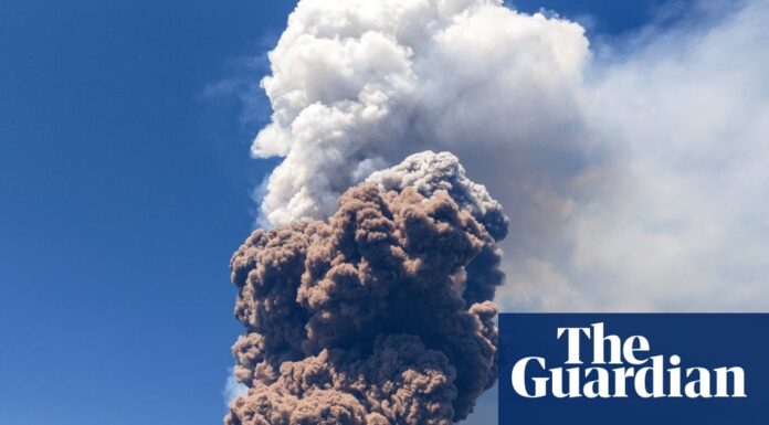 Дарна Етни: Як вулканічний попіл стає новим добривом Сицилії