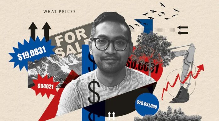 Ціна природи: чому екосистемні послуги зазнали невдачі та що далі