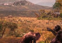 Graecopithecus: Нові копалини вказують на ранній біпедалізм у Європі