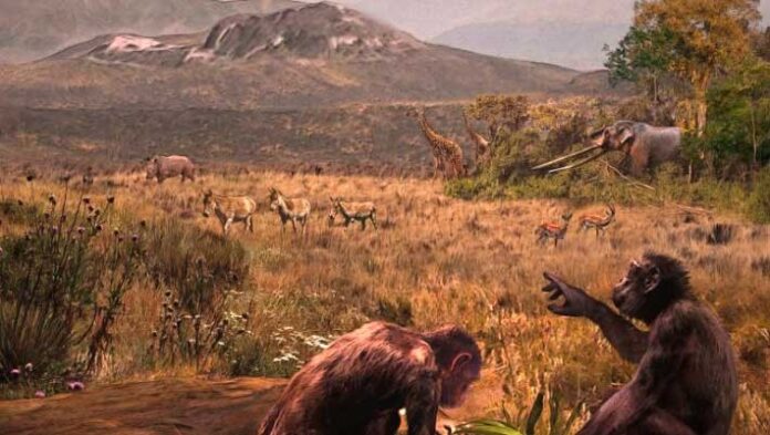 1532cf51-d635-4086-8eff-3caca0cce390