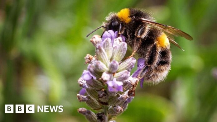 18a61c76-00b1-4424-99c2-b92b8b7ad130