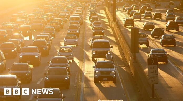 Розворот кліматичної політики Трампа: шість можливих наслідків