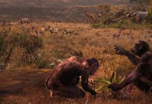 Таємнича стародавня мавпа, можливо, розвинула ключову рису людини