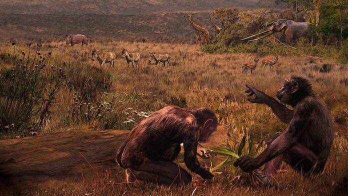 71dcf823-da71-4ac6-8a14-8a9d5d7efe37