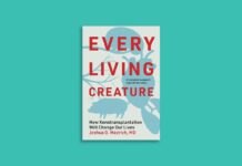 Organy świni: przyszłość przeszczepów?