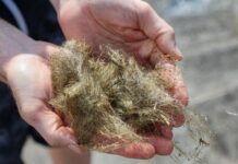 Волоконно-склоподібні нитки з вулканічного скла: коли магма витягується, наче волосся