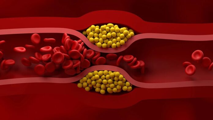 026c6970-2d1a-4f9b-9351-e6d91ed46565