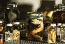 El registro oculto del mundo: dentro de las enormes bóvedas secretas del Smithsonian