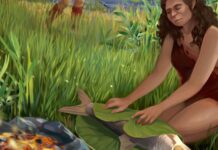 Sopravvivenza sulla riva: come il carbone di 780.000 anni riscrive la prima storia umana