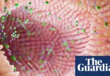 Мікробіом кишечника може передбачити хворобу Паркінсона за роки до появи симптомів