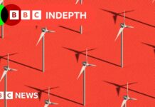 The Net Zero Dilemma: Why “Cheap Power” May Be More Critical Than “Clean Power”