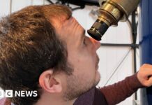 Місія «Артеміда»: Студенти та вчені готуються до історичного повернення на Місяць