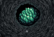 The 50-Year Hunt for a Quantum Spin Liquid May Be Over