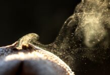 Scientists Say: The Tiny Stuff That Runs the Show
