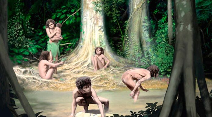 Hobbits were scavengers, not hunters