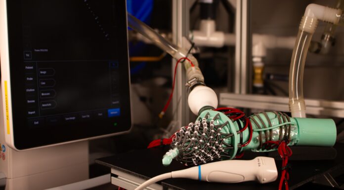 Robotic Heart Mimics the Mystery of Stiff Hearts