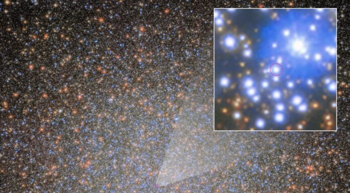 Tiny black hole hiding in plain sight