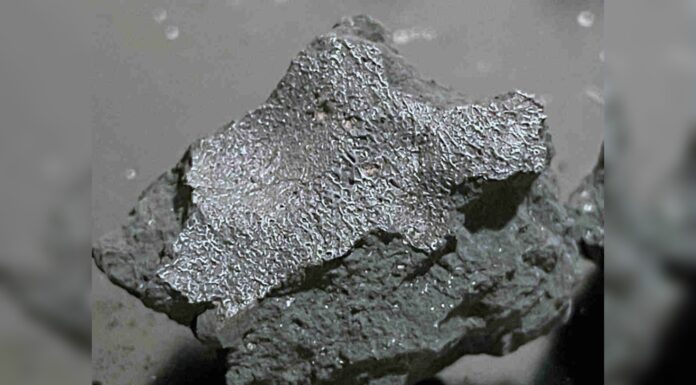 The Rock That Smells Like Beginnings