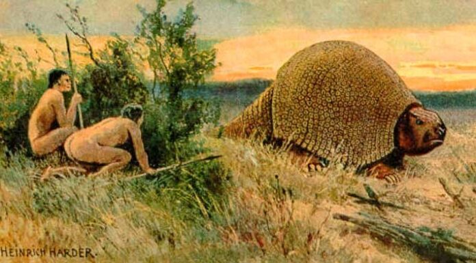 Ancient Americans Wasted Nothing